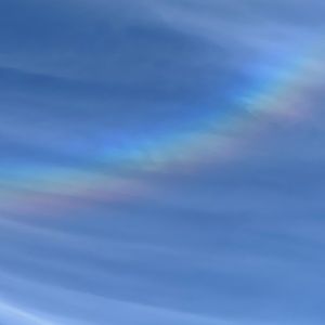 Meet your Posher, Marcy